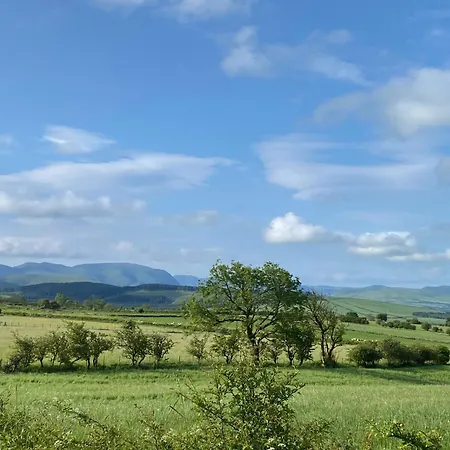 23 The Beeches Gilcrux