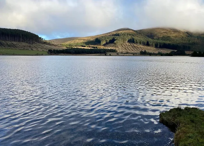 23 The Beeches 度假居